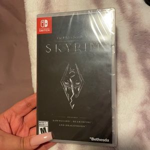 Video game skyrim